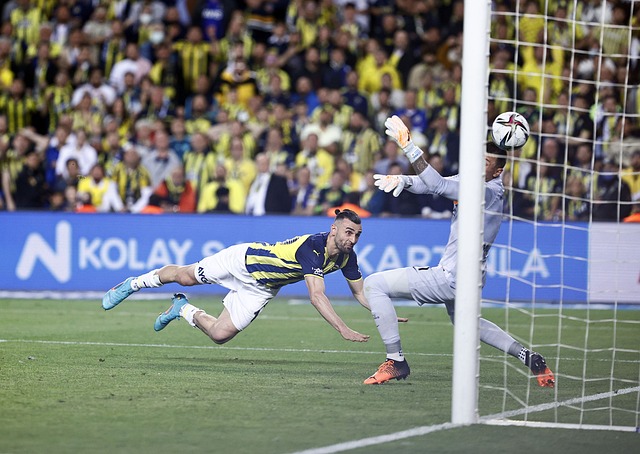 能够为年轻 能够为年轻