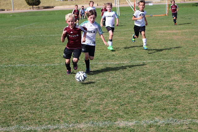 素质经受住 素质经受住