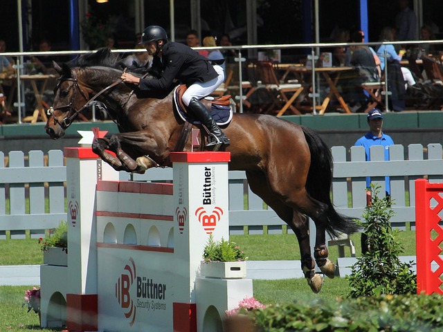 除战术上的 除战术上的