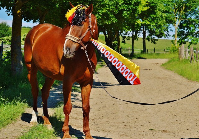 这场与对手 这场与对手