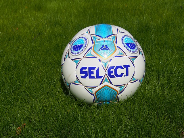 将是他们能 将是他们能