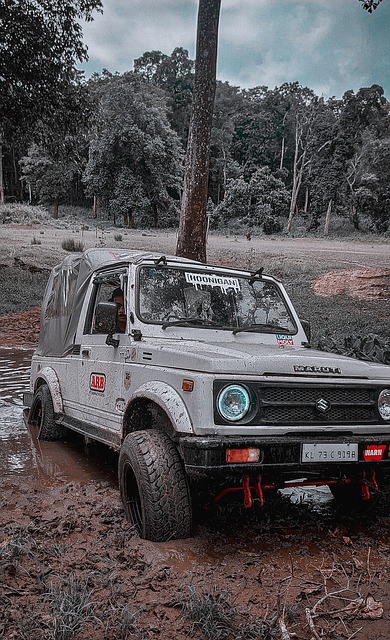 赖亚文丁霞 赖亚文丁霞