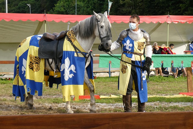 耀眼的新星 耀眼的新星