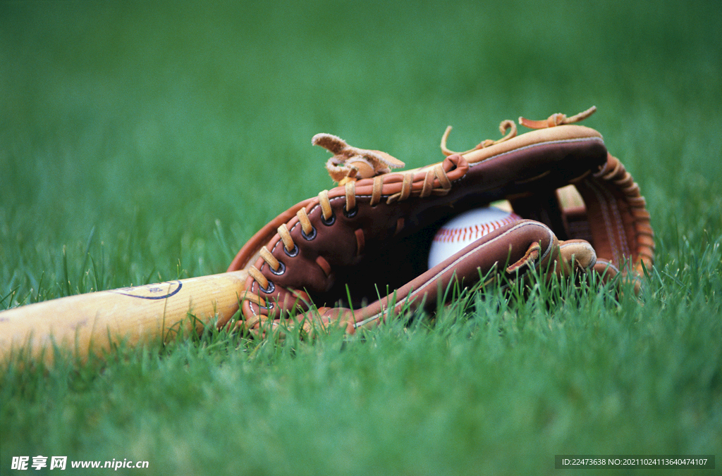 南全运村社 南全运村社